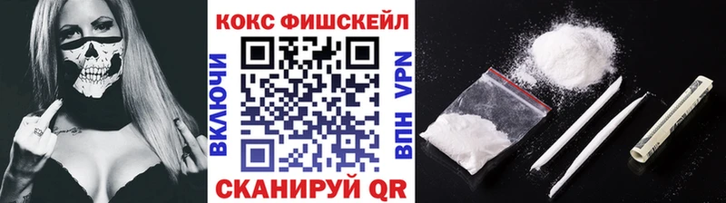 Купить  Галич  COCAIN Fish Scale 