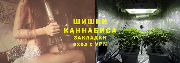 ГАЛЛЮЦИНОГЕННЫЕ ГРИБЫ Краснослободск