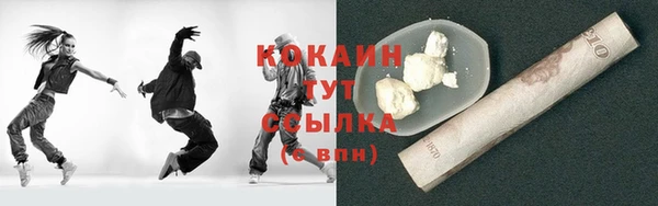 индика Козловка