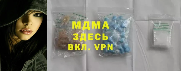 индика Козловка