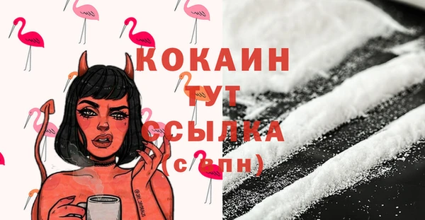 дживик Коряжма