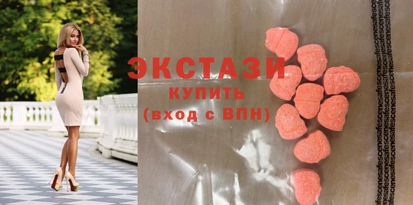 индика Козловка