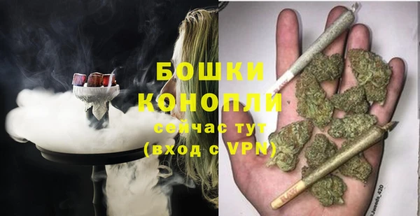 индика Козловка