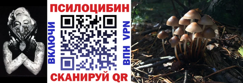 Псилоцибиновые грибы мицелий  Купить закладки  Галич 